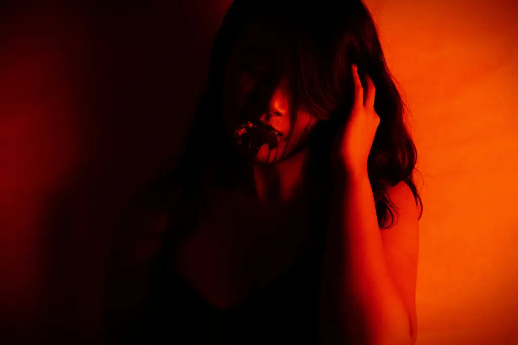 國中題庫光碟下載：提升學習力的必備工具