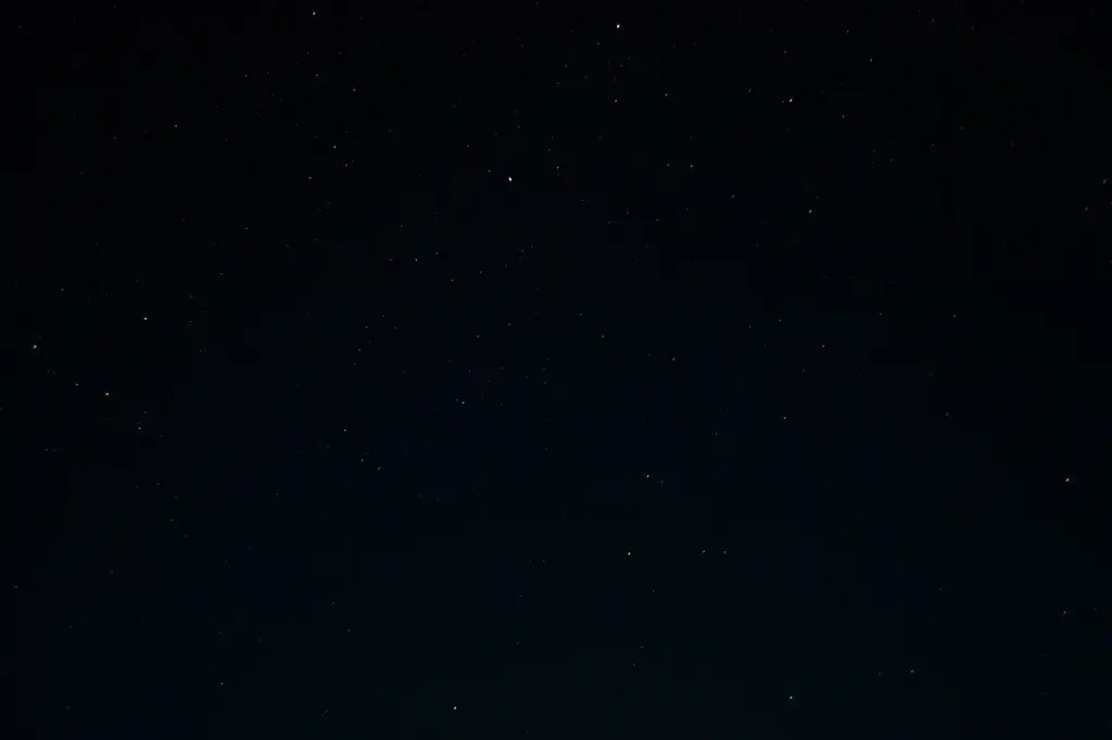 公民議題探討：台灣民主與選舉