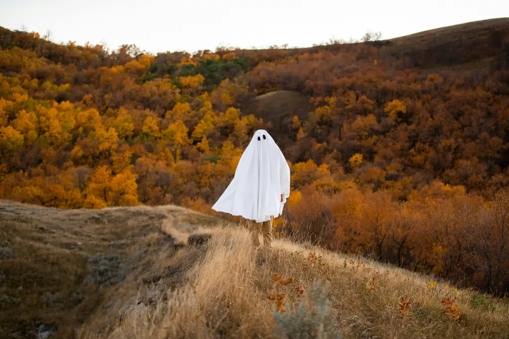 國小命題光碟：提升教學效能的數位利器