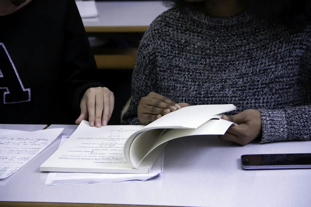 中年級閱讀測驗題目：掌握關鍵，提升閱讀力